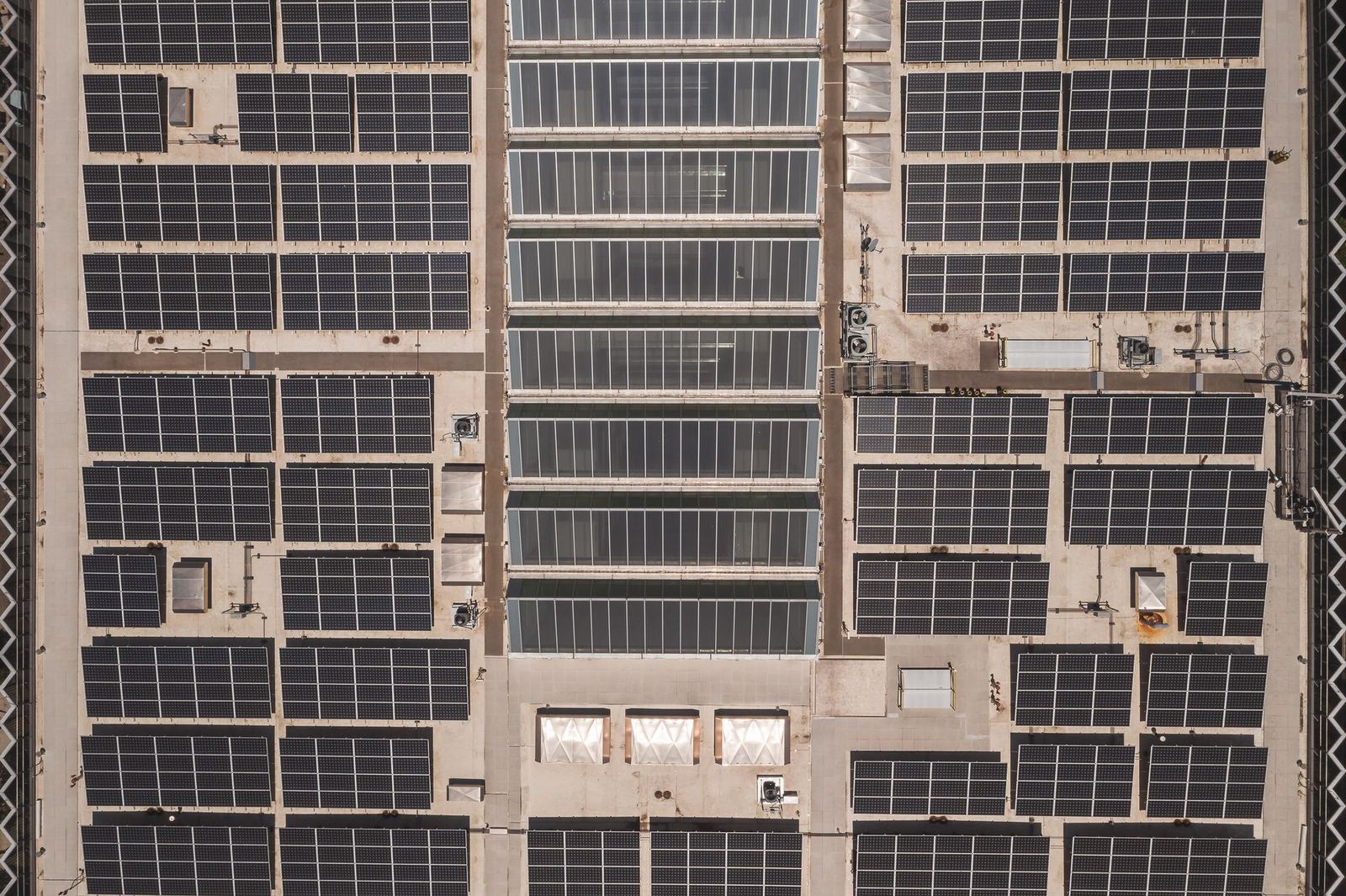 Our road to net zero by 2040
